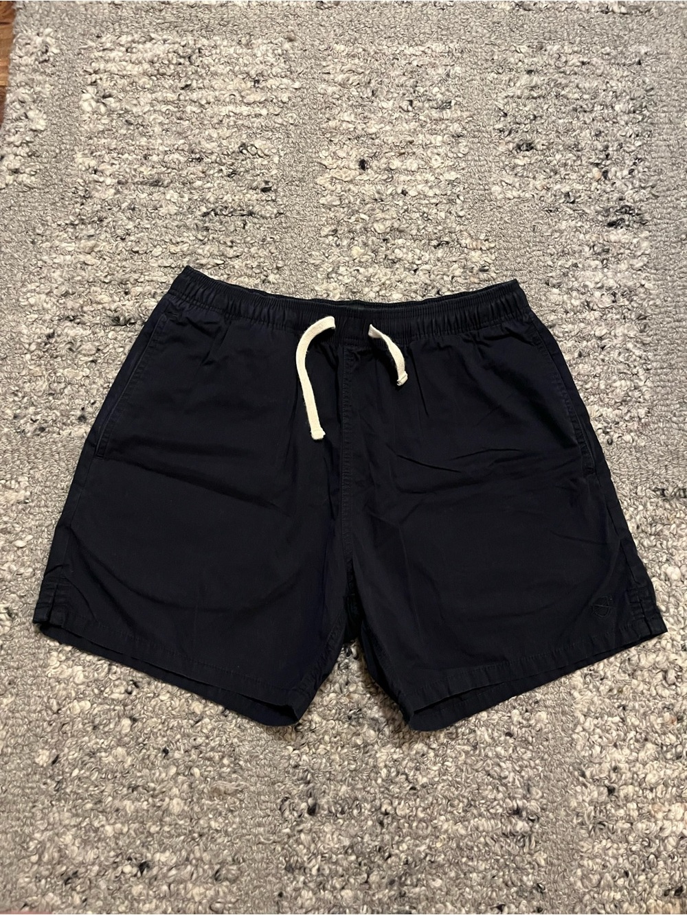 Zanerobe Navy Blue Men Shorts Flat Front